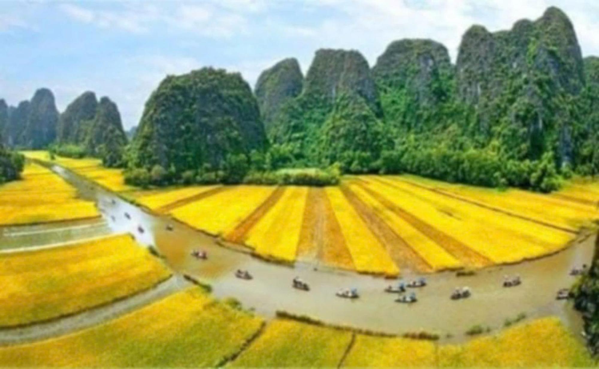 Tam Coc Pomelo Garden Apartment Ninh Binh Bagian luar foto