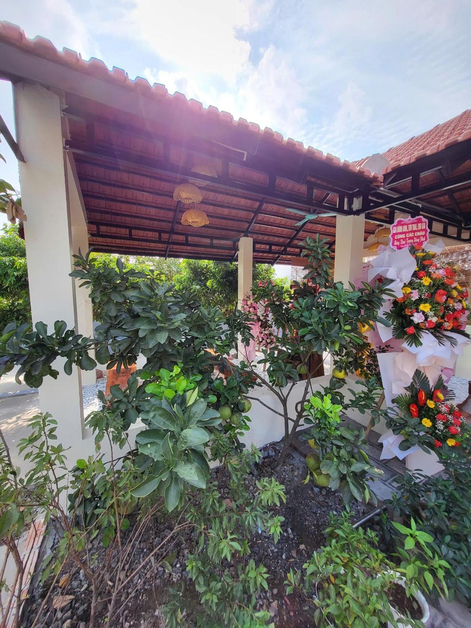 Tam Coc Pomelo Garden Apartment Ninh Binh Bagian luar foto
