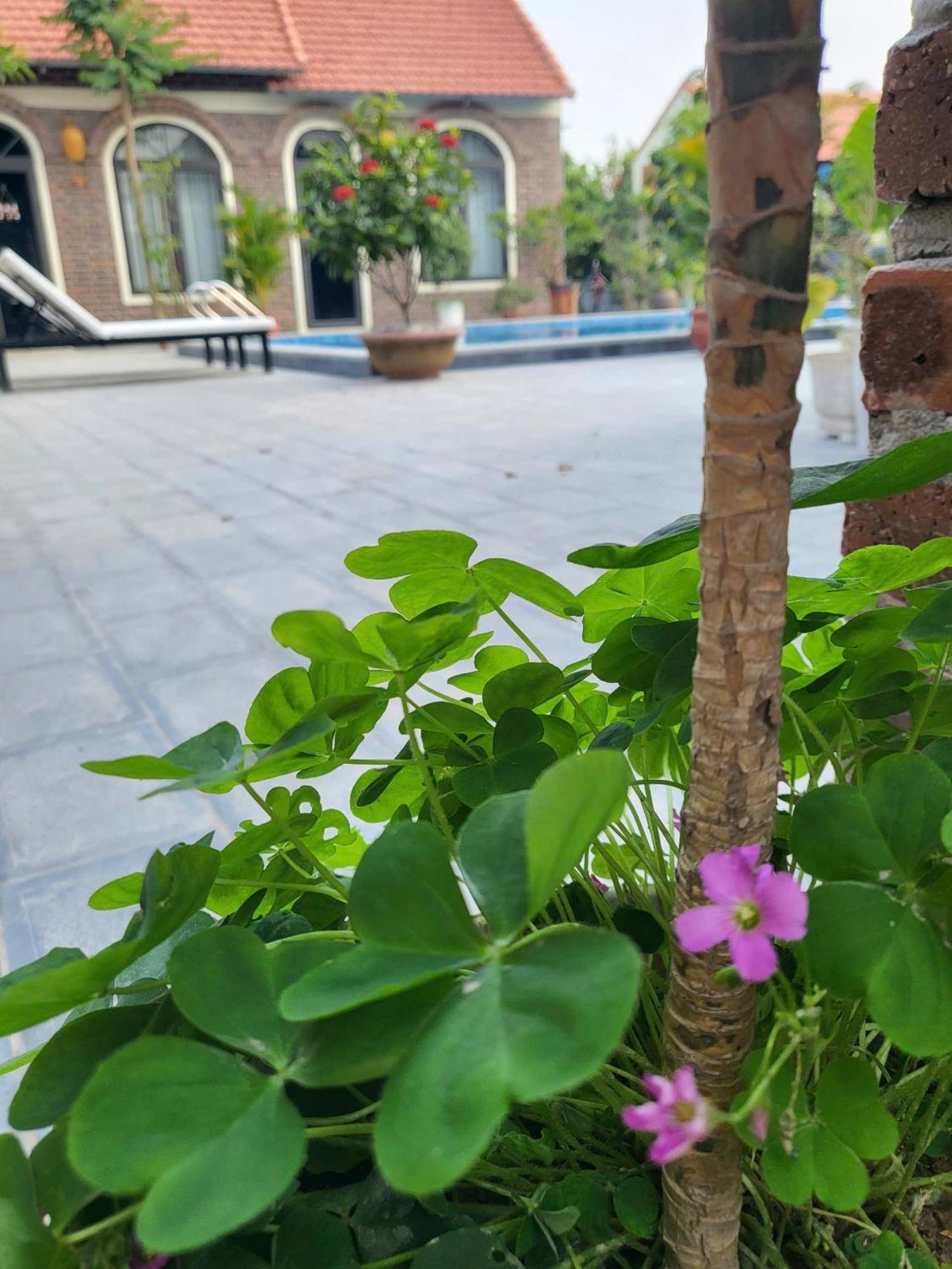 Tam Coc Pomelo Garden Apartment Ninh Binh Bagian luar foto
